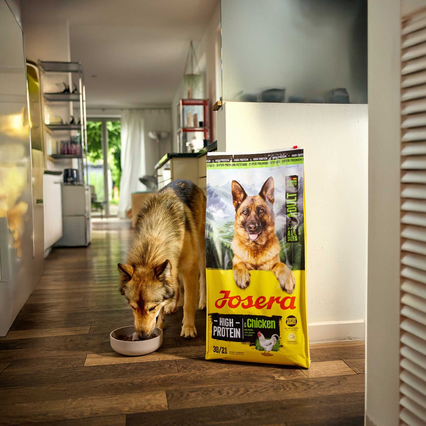 HAUTE PROTEINE AVEC POULET (EX-HIGH ENERGY)