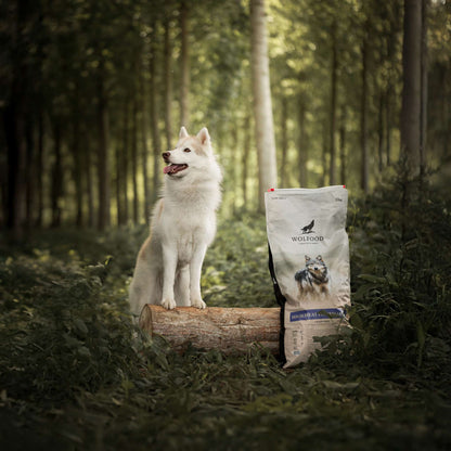 HIGH MEAT FITNESS LIGHT