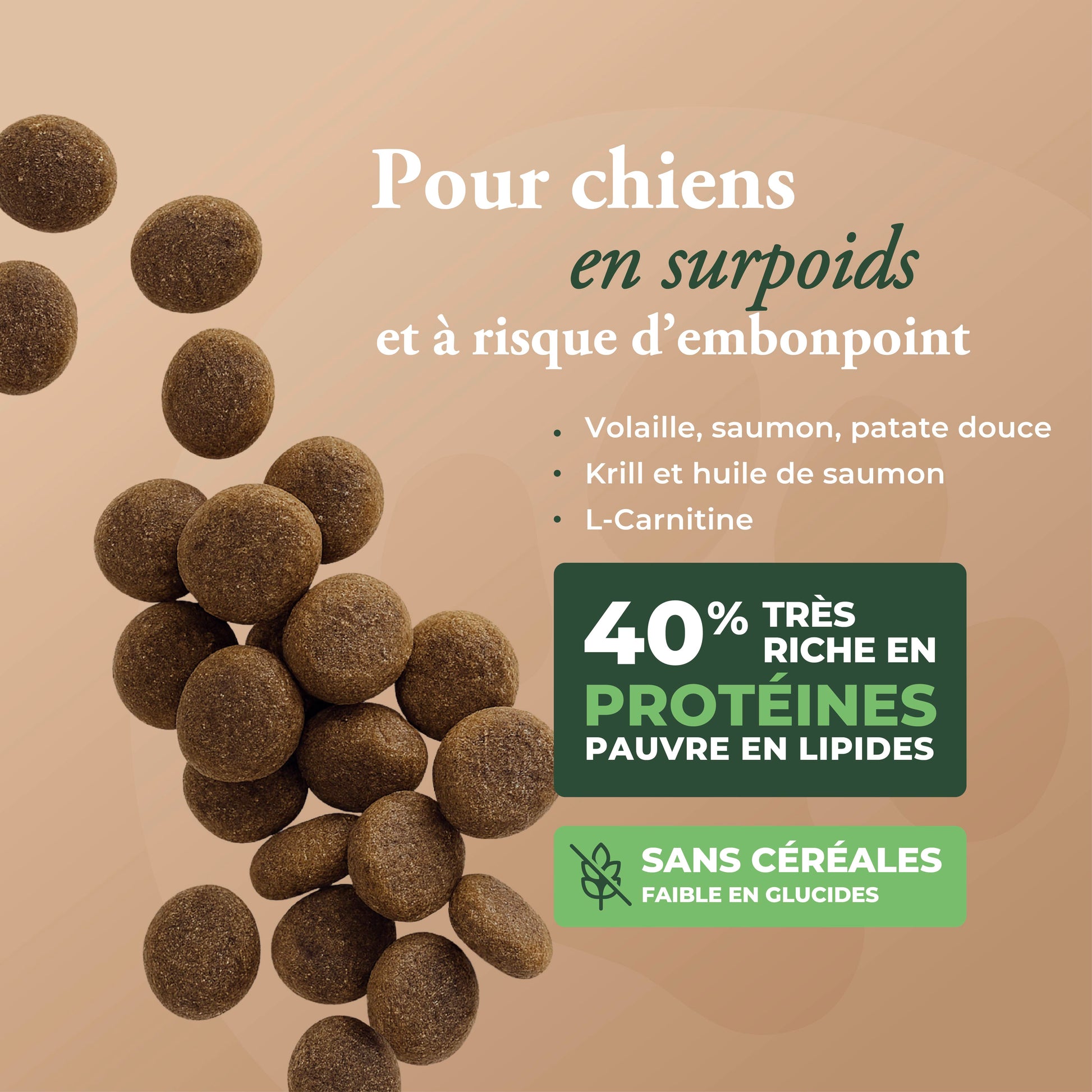 HIGH MEAT FITNESS LIGHT