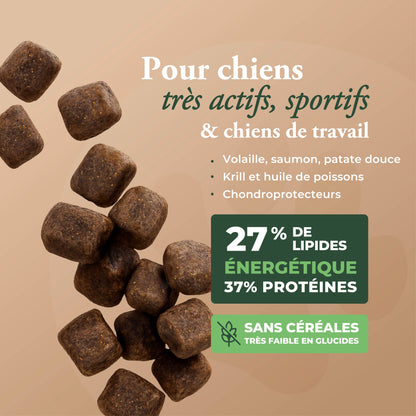 HIGH MEAT PERFORMANCE