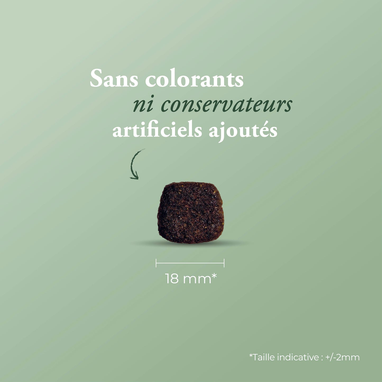 HYPOALLERGENIC SALMON