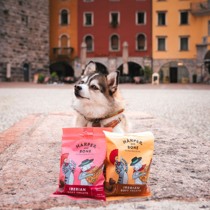 IBERIAN TREATS CHICKEN SALMON & TUNA