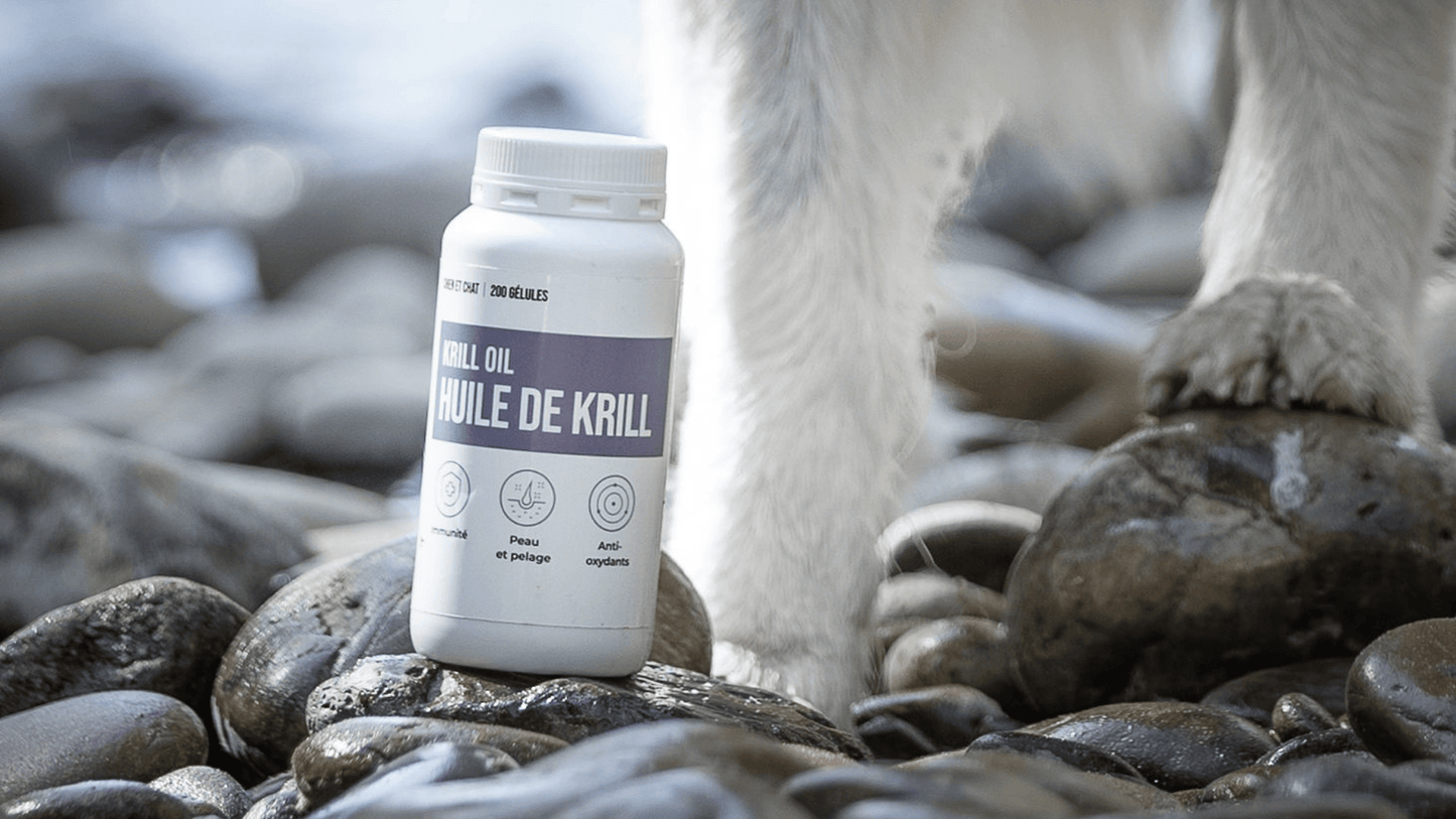 HUILE DE KRILL