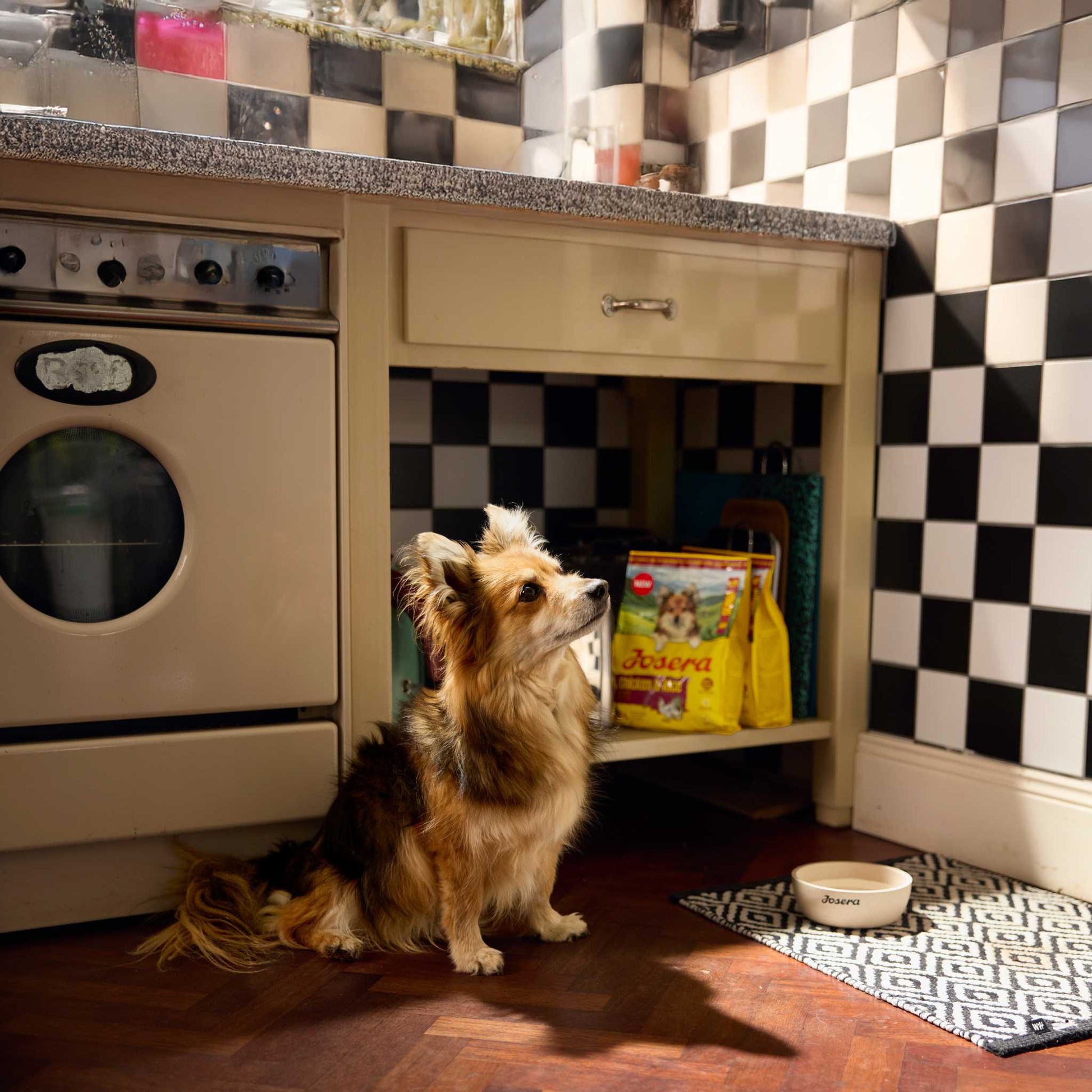 MINI SENIOR POULET & RIZ