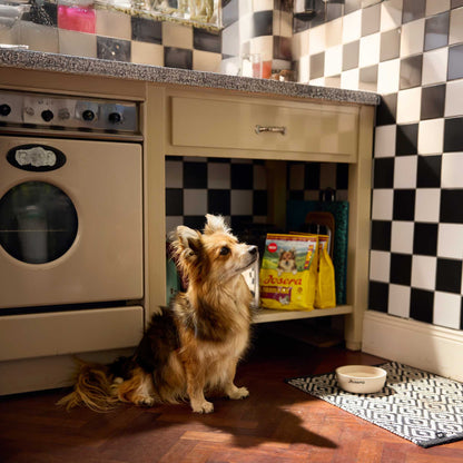 MINI SENIOR POULET & RIZ