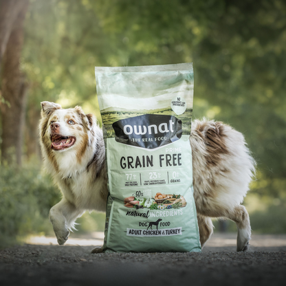 PRIME GRAIN FREE ADULT CHICKEN TURKEY