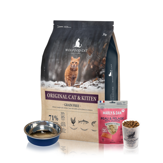 Kit Chaton Wolfood Original Cat & Kitten