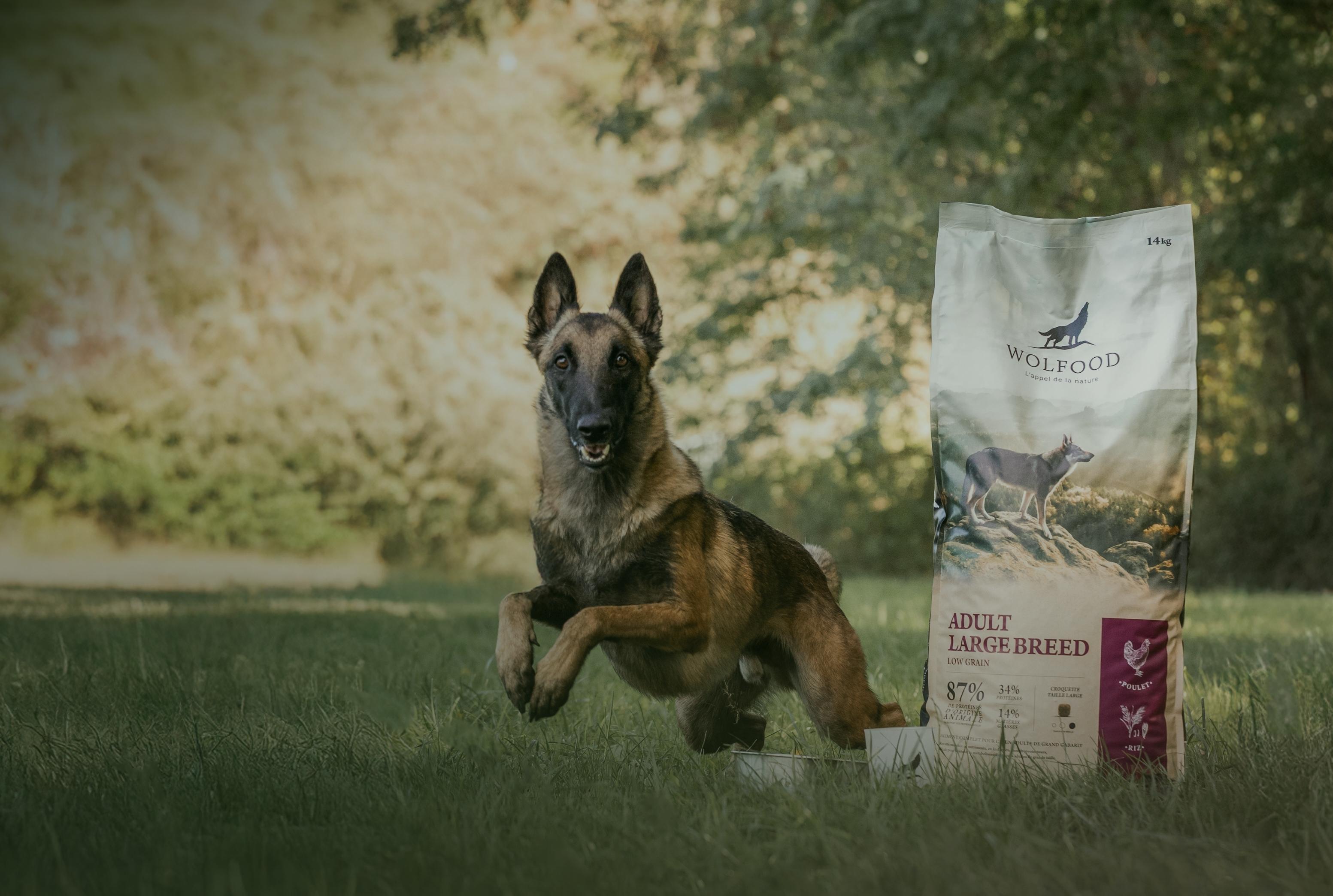 1 kg offert
Recette : Poulet & riz