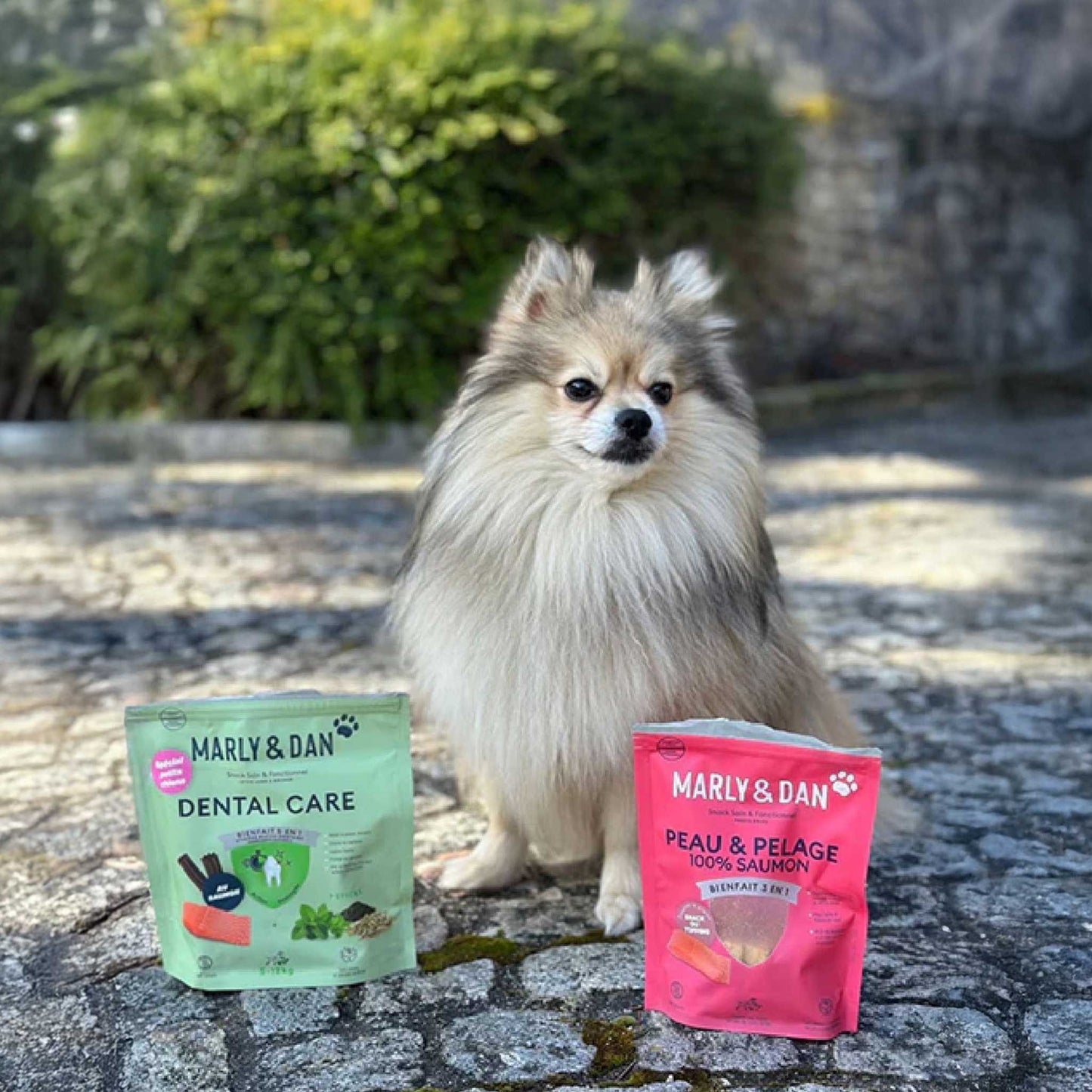 PEAU & PELAGE 100% SAUMON