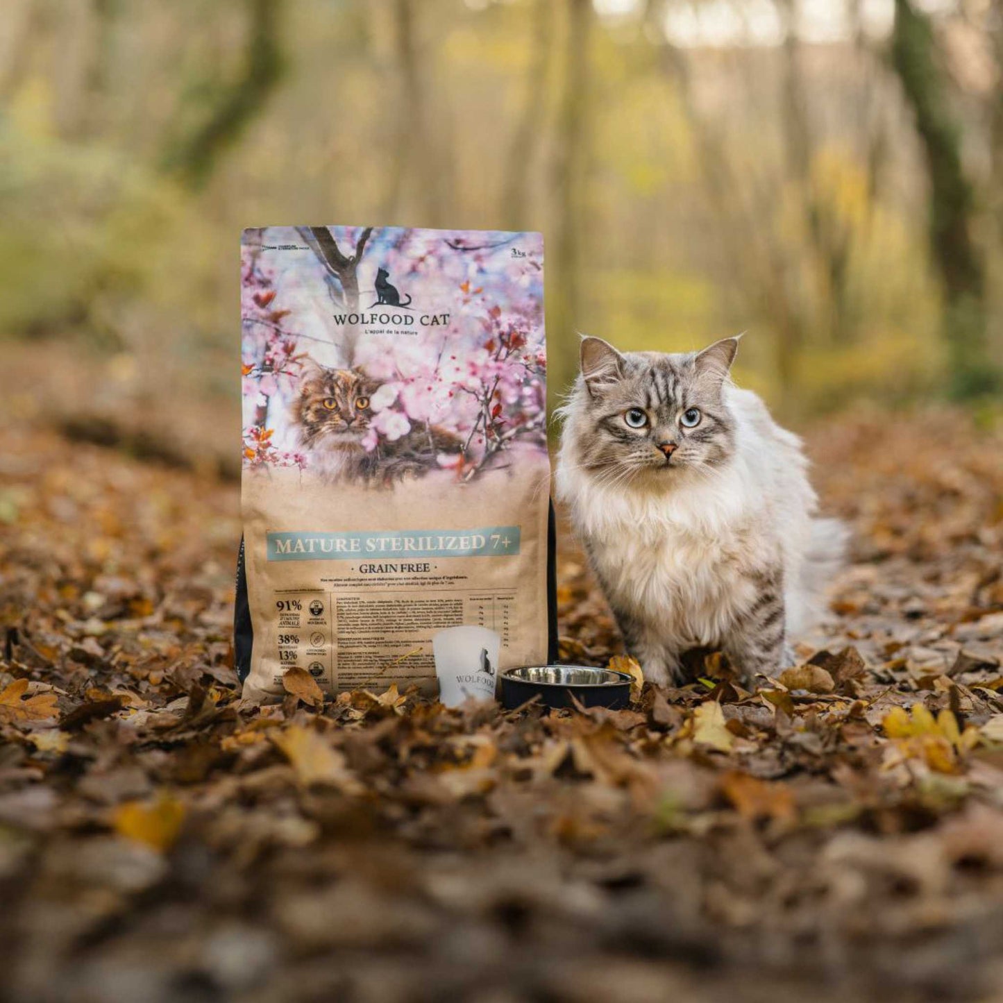 MATURE STERILIZED 7+