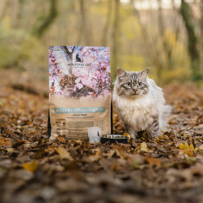 MATURE STERILIZED 7+