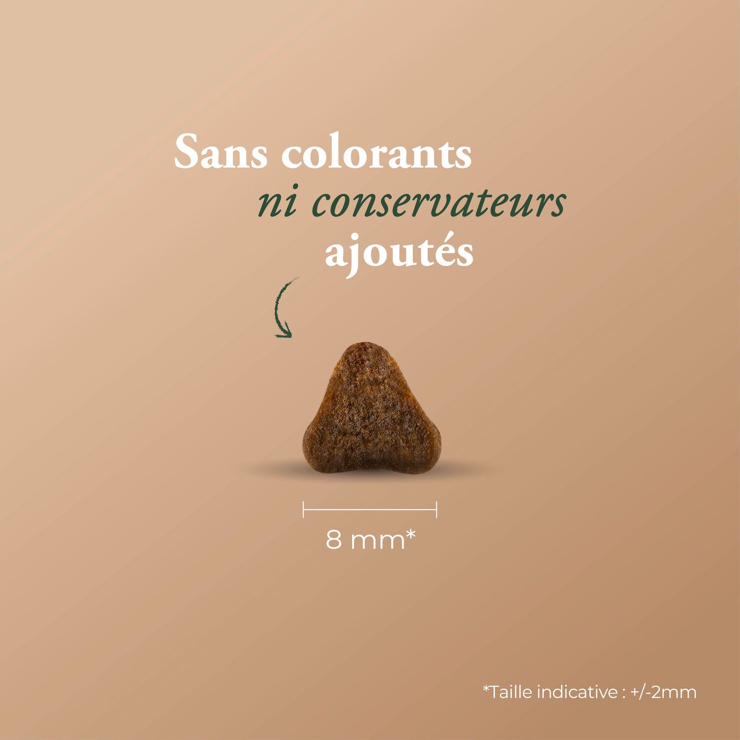 MATURE STERILIZED 7+