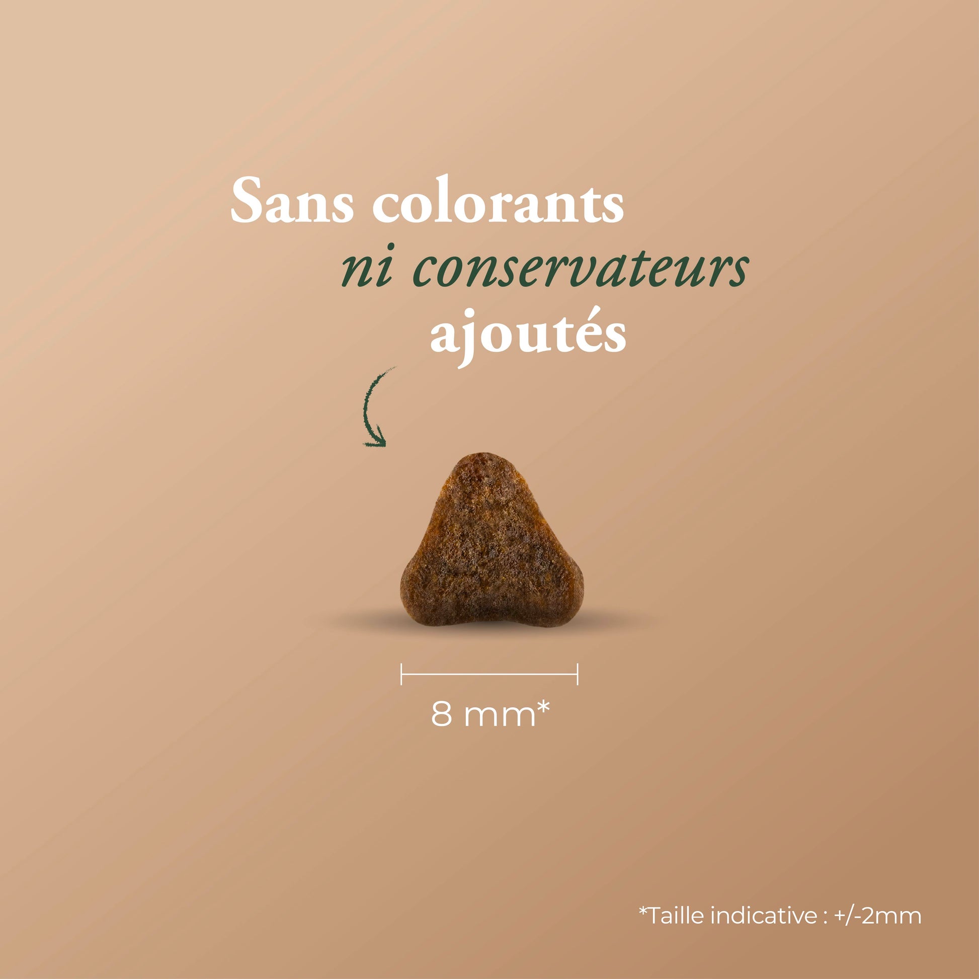 MATURE STERILIZED 7+