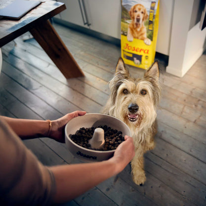 MEDI/MAXI POULET & RIZ (EX-ADULT LARGE BREED)