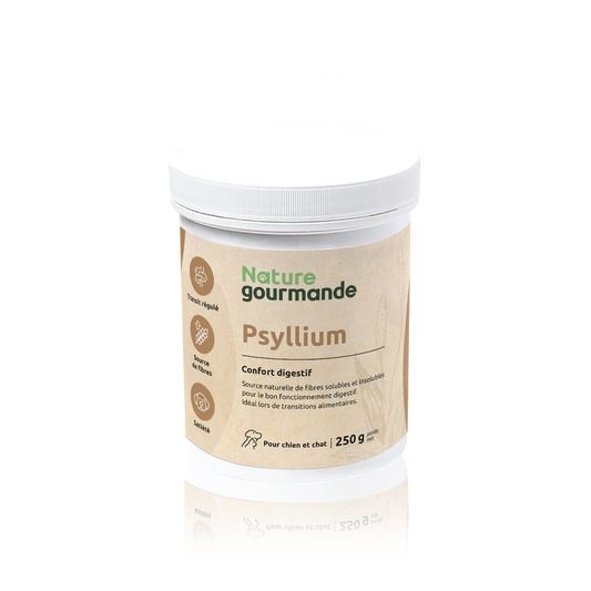 Psyllium
