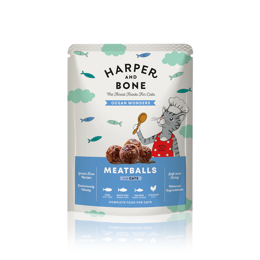 FLEISCHBÄLLCHEN OZEANWUNDER CHAT