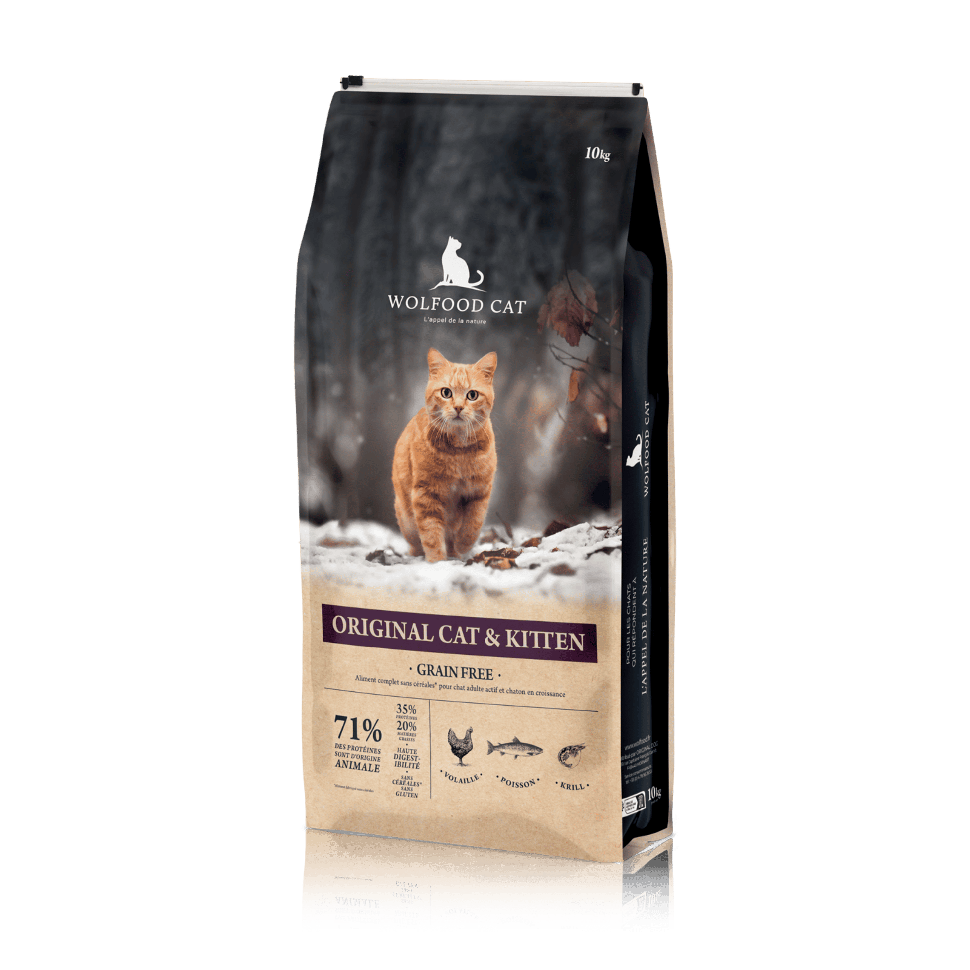 ORIGINAL CAT & KITTEN