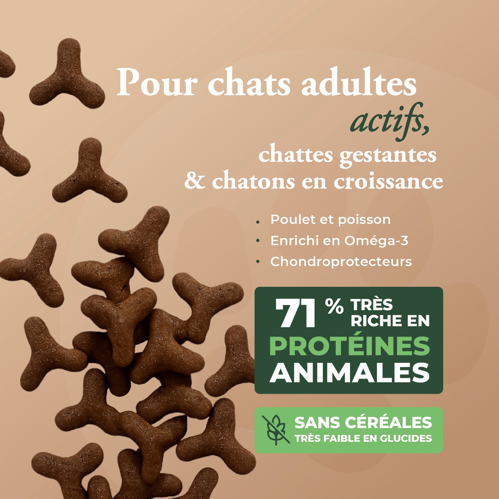 ORIGINAL CAT & KITTEN