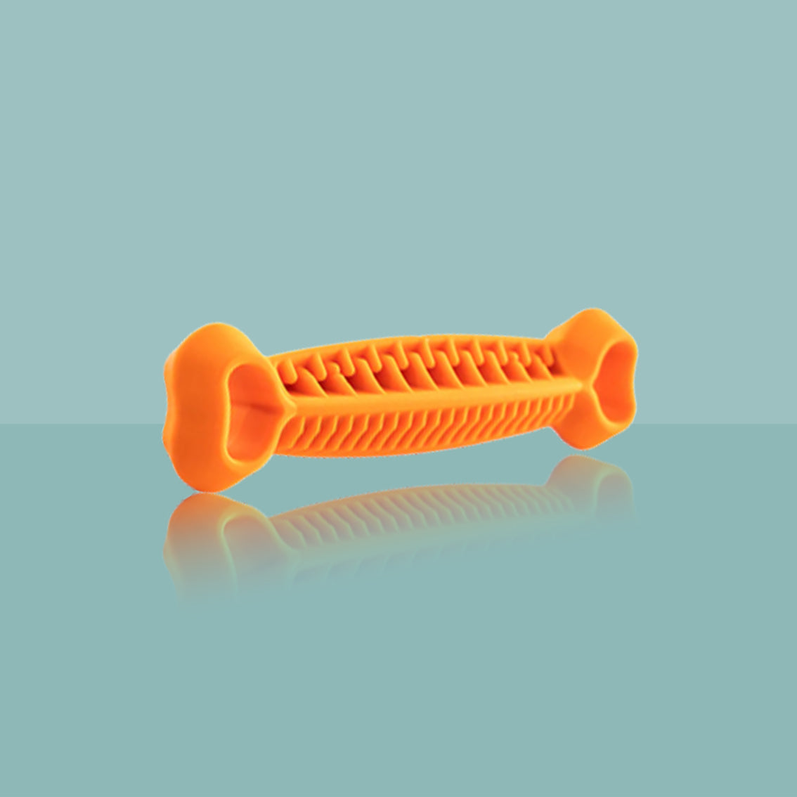 OS-DENTITION