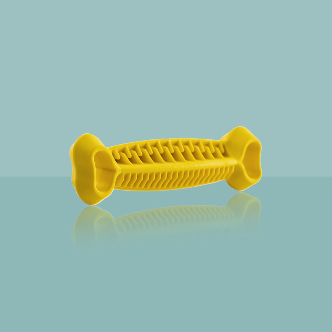 OS-DENTITION