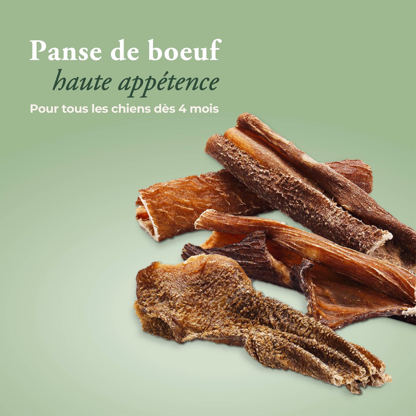 Panse de boeuf séchée