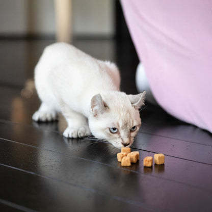 PEAU & PELAGE 100% SAUMON