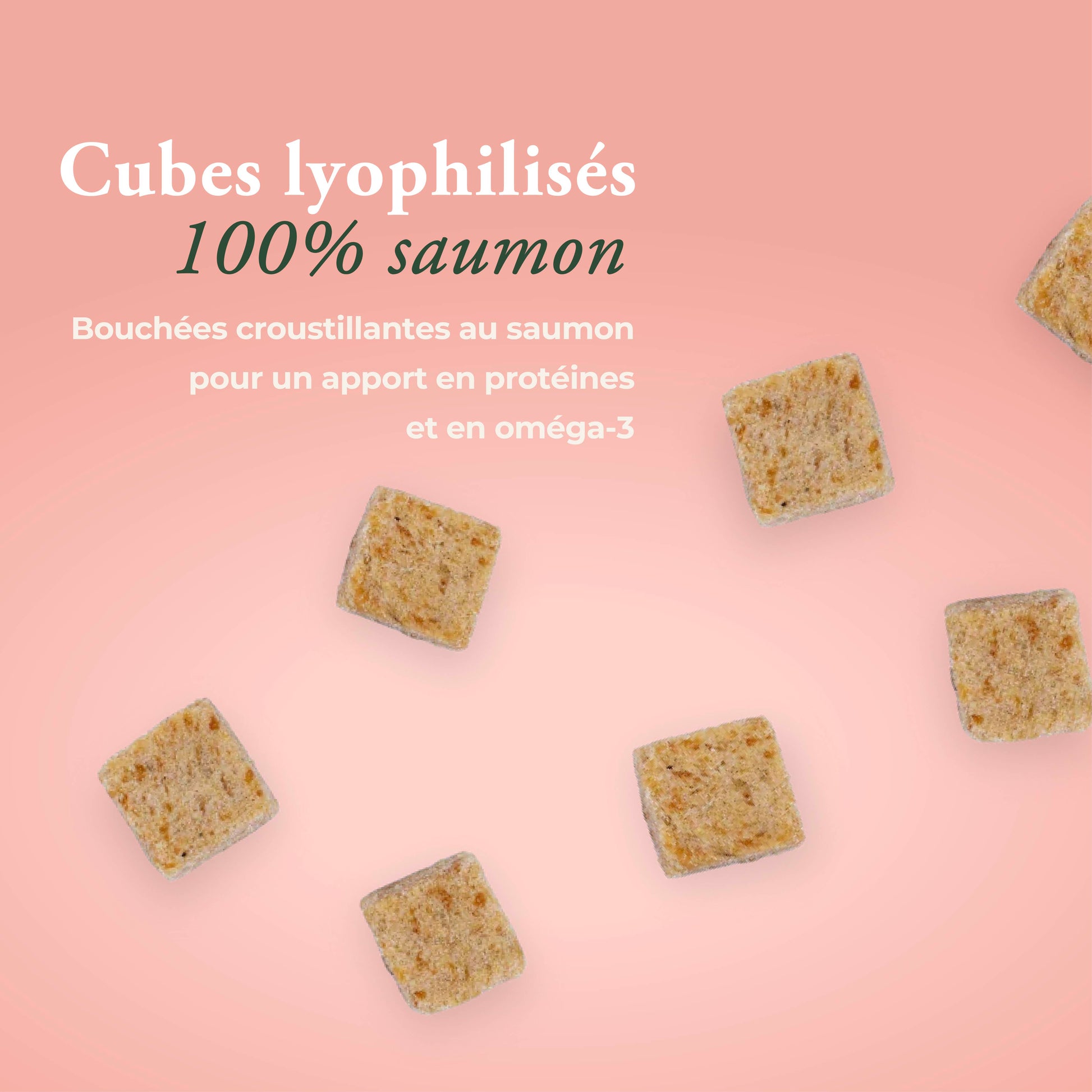 PEAU & PELAGE 100% SAUMON