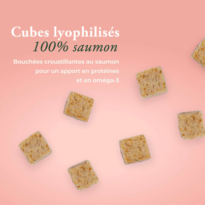 PEAU & PELAGE 100% SAUMON