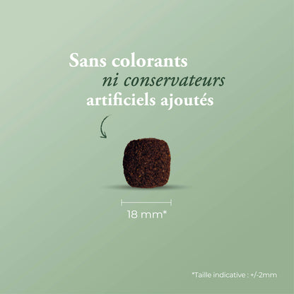 PRIME GRAIN FREE ADULT CHICKEN TURKEY