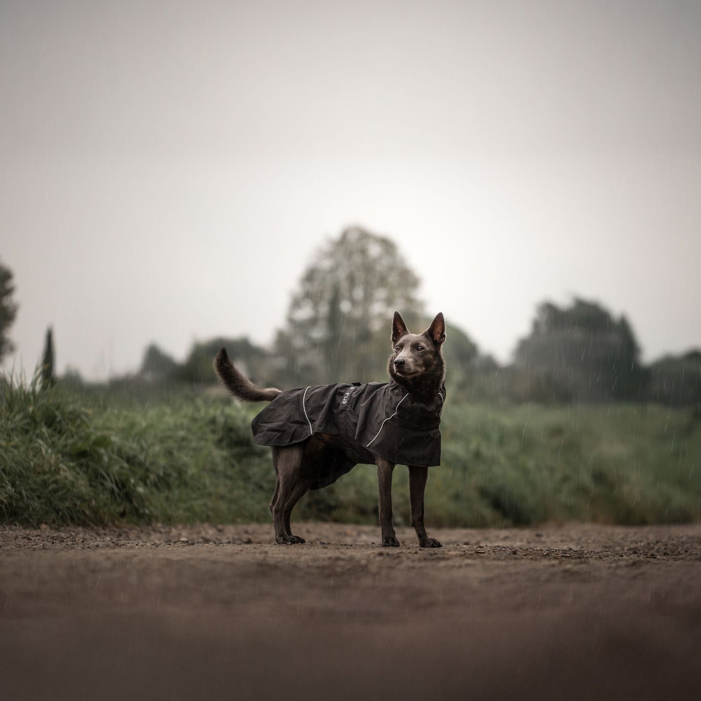 MANTEAU HAYTON X RAINCOAT