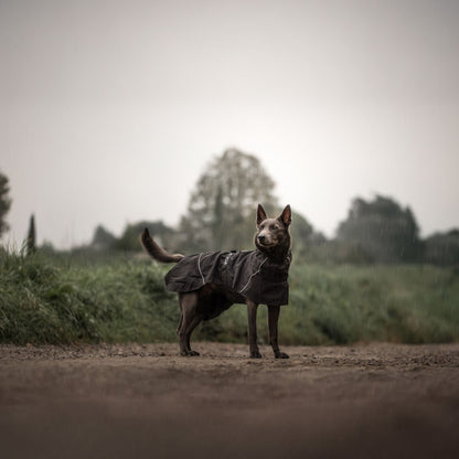 MANTEAU HAYTON X RAINCOAT