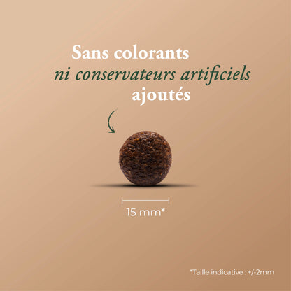 SENSITIVE DUCK & FISH