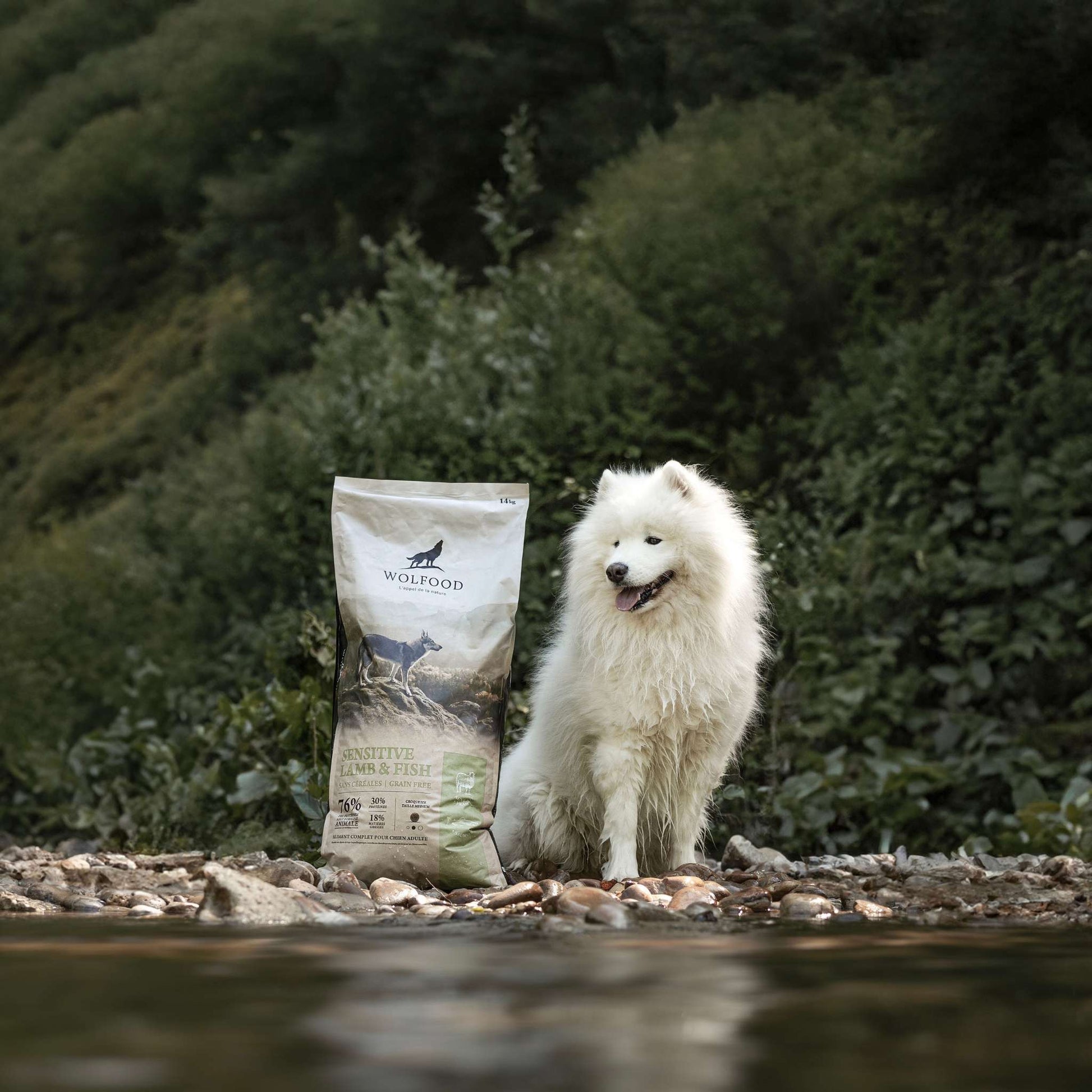 SENSITIVE LAMB & FISH