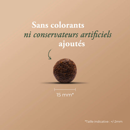 SENSITIVE LAMB & FISH