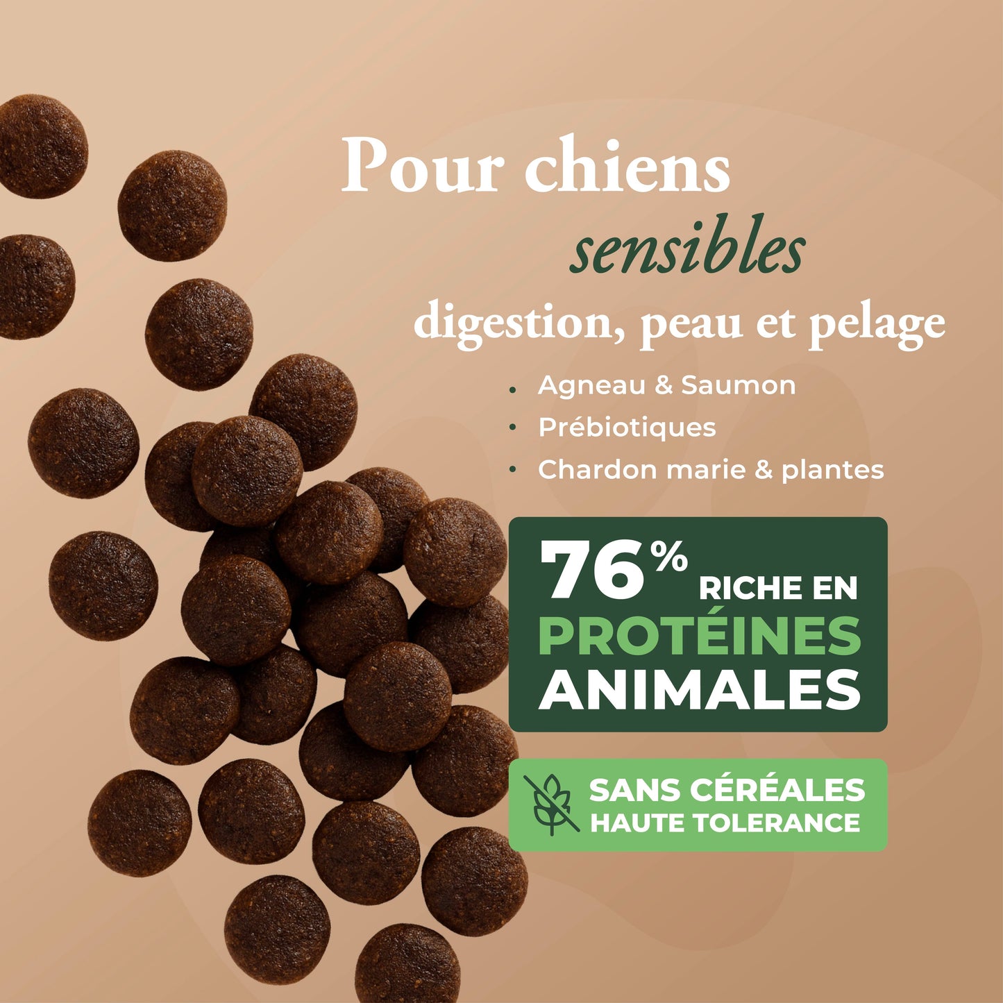 SENSITIVE LAMB & FISH