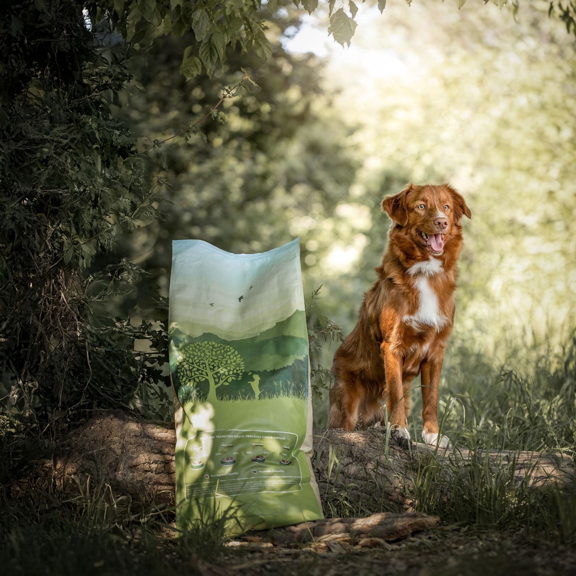 FRESH CHICKEN & POTATO