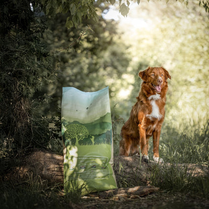 FRESH CHICKEN & POTATO