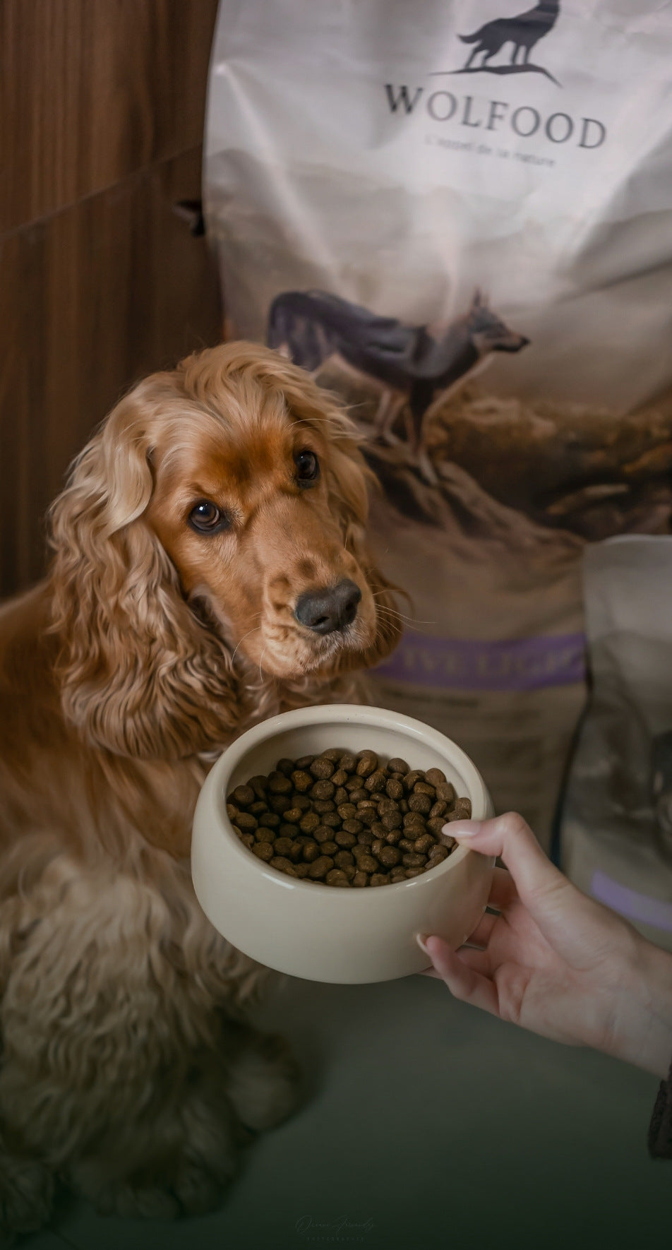 -10% Wolfood Sensitive Light