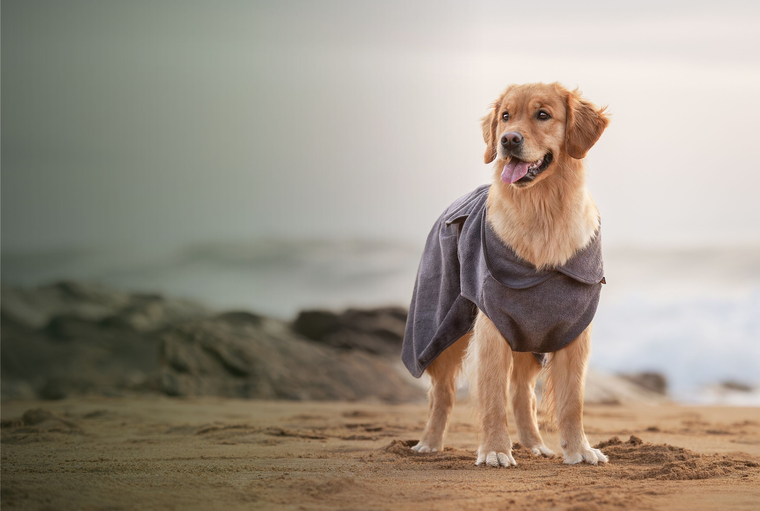 Prêts pour de nouvelles aventures ?