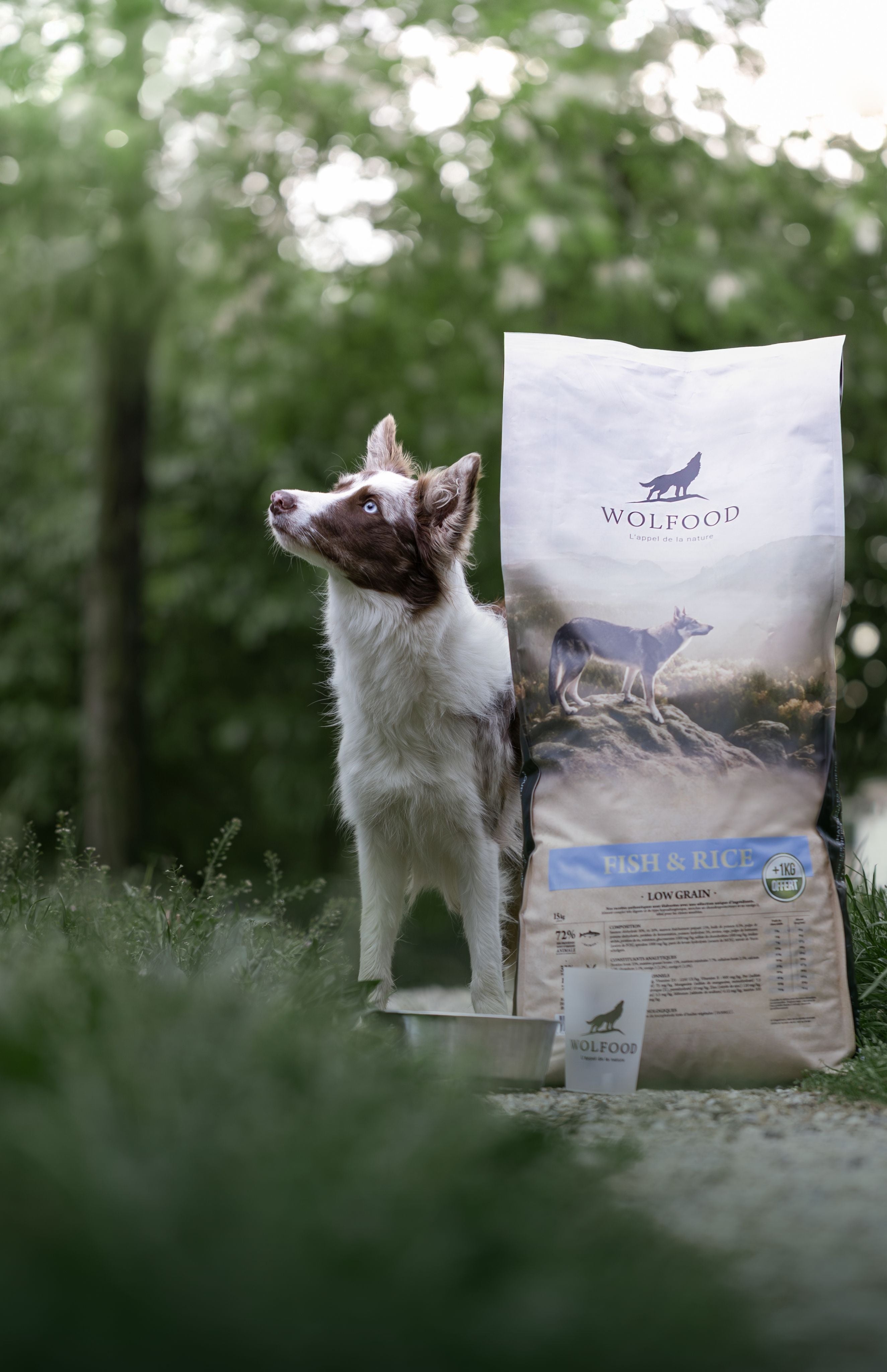 14+1 kg offert : Fish & Rice