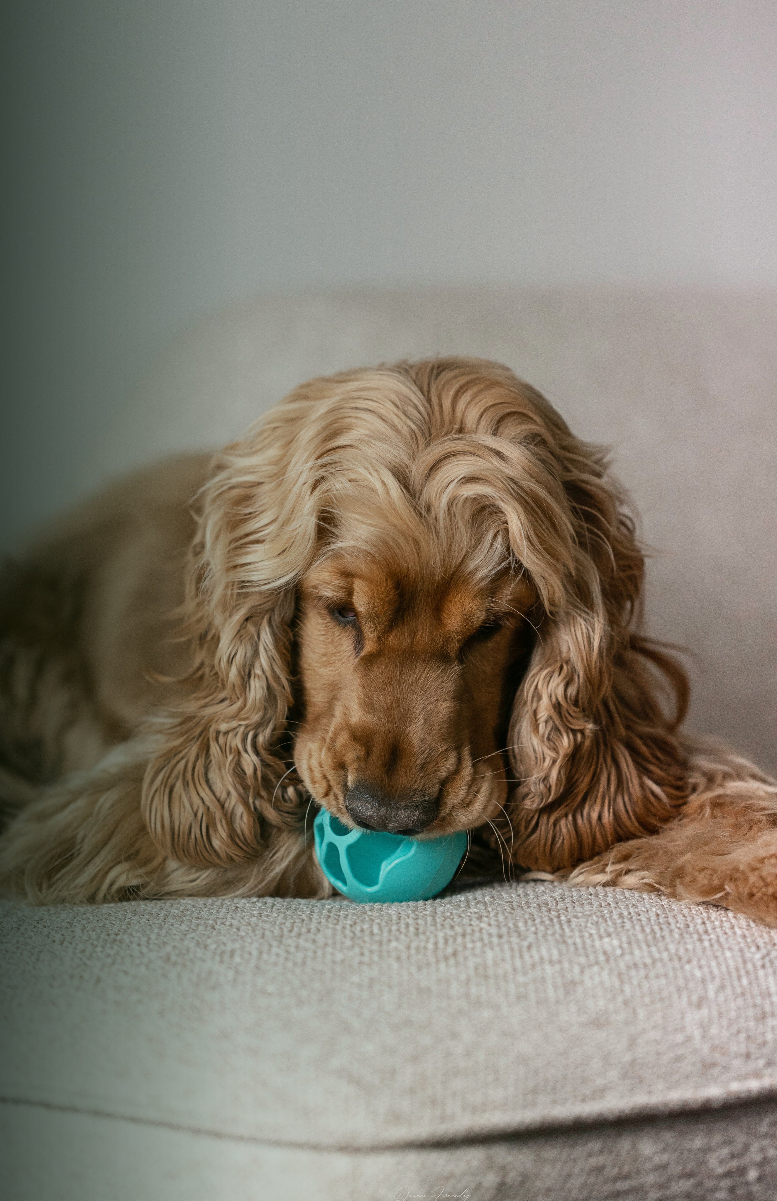 -10% sur tous les accessoires