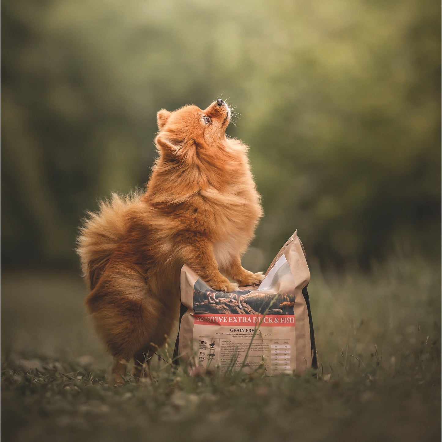 SENSITIVE DUCK & FISH