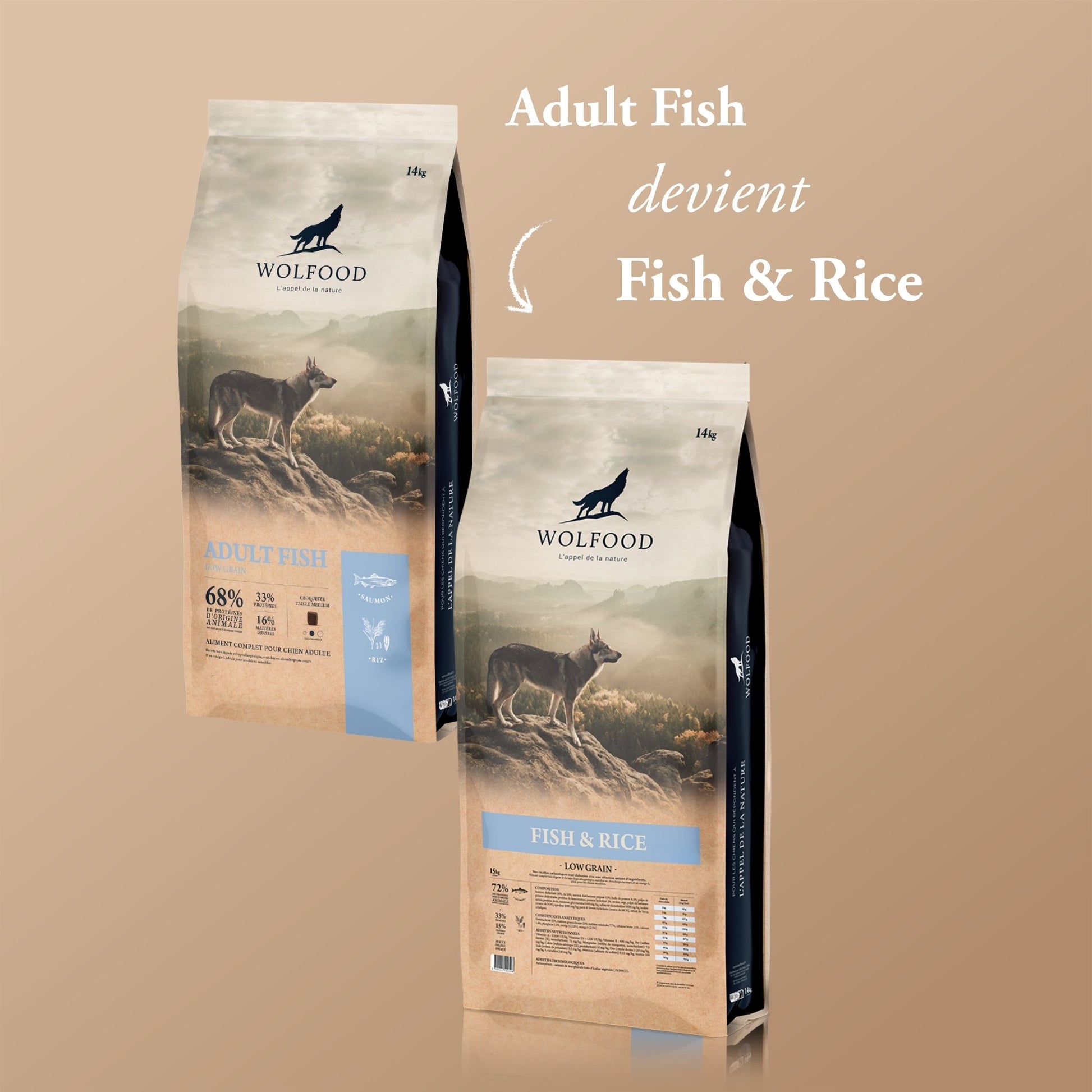 ADULT FISH (DEVIENT FISH & RICE)