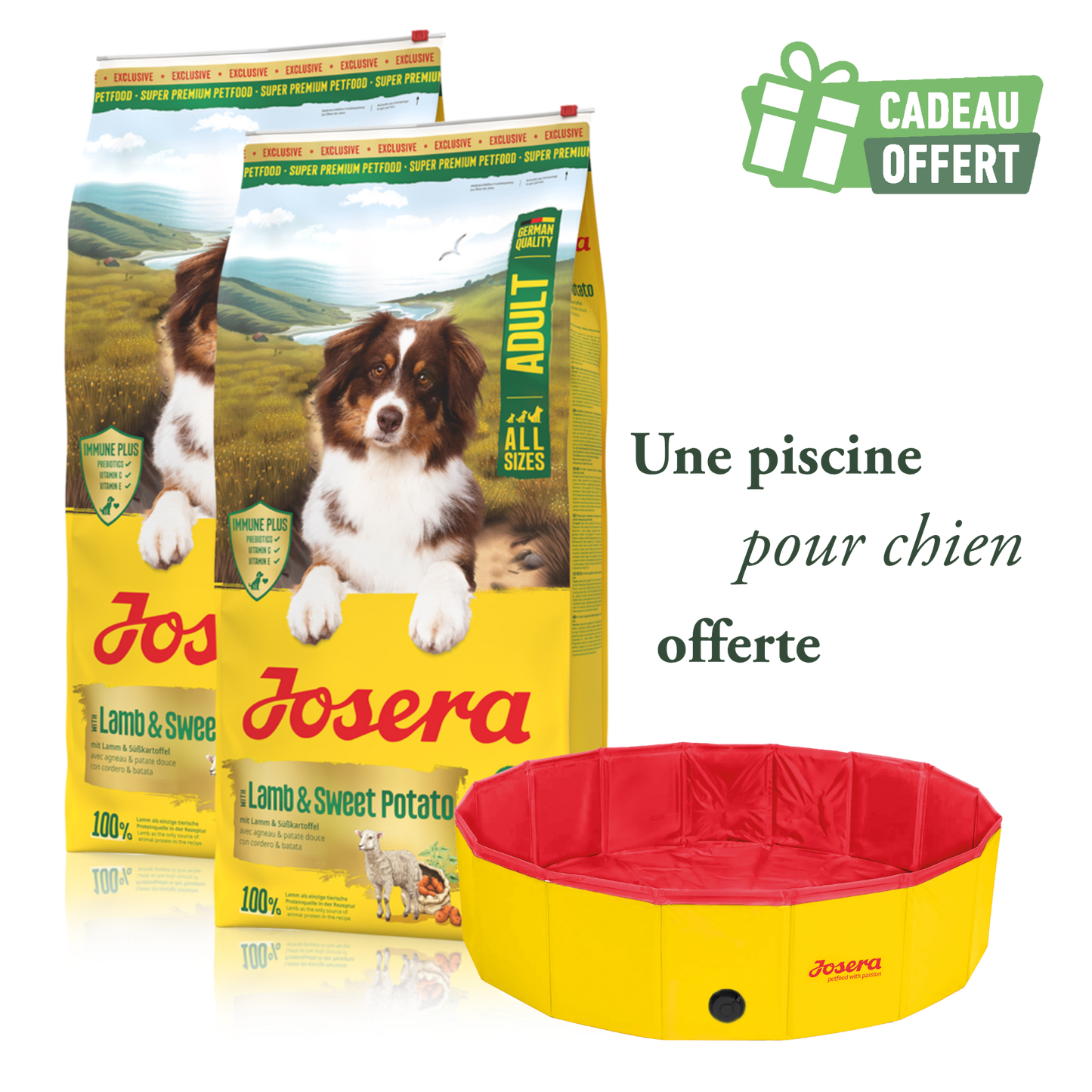 Lot 2 sacs Agneau & Patate douce 12.5 kg + 1 piscine offerte