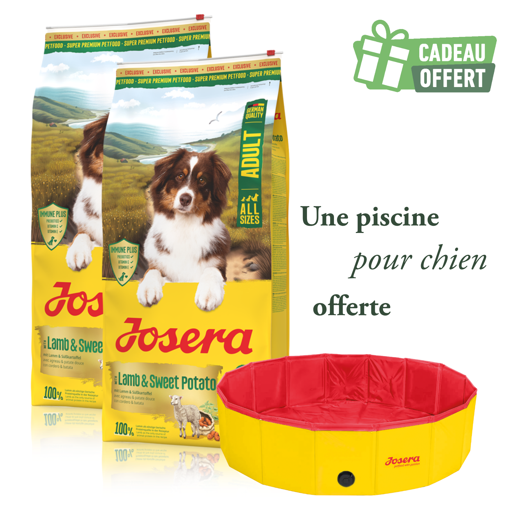 Lot 2 sacs Agneau & Patate douce 12.5 kg + 1 piscine offerte