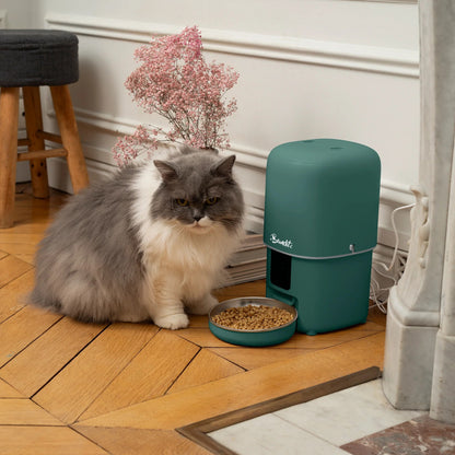 Distributeur de croquettes automatique