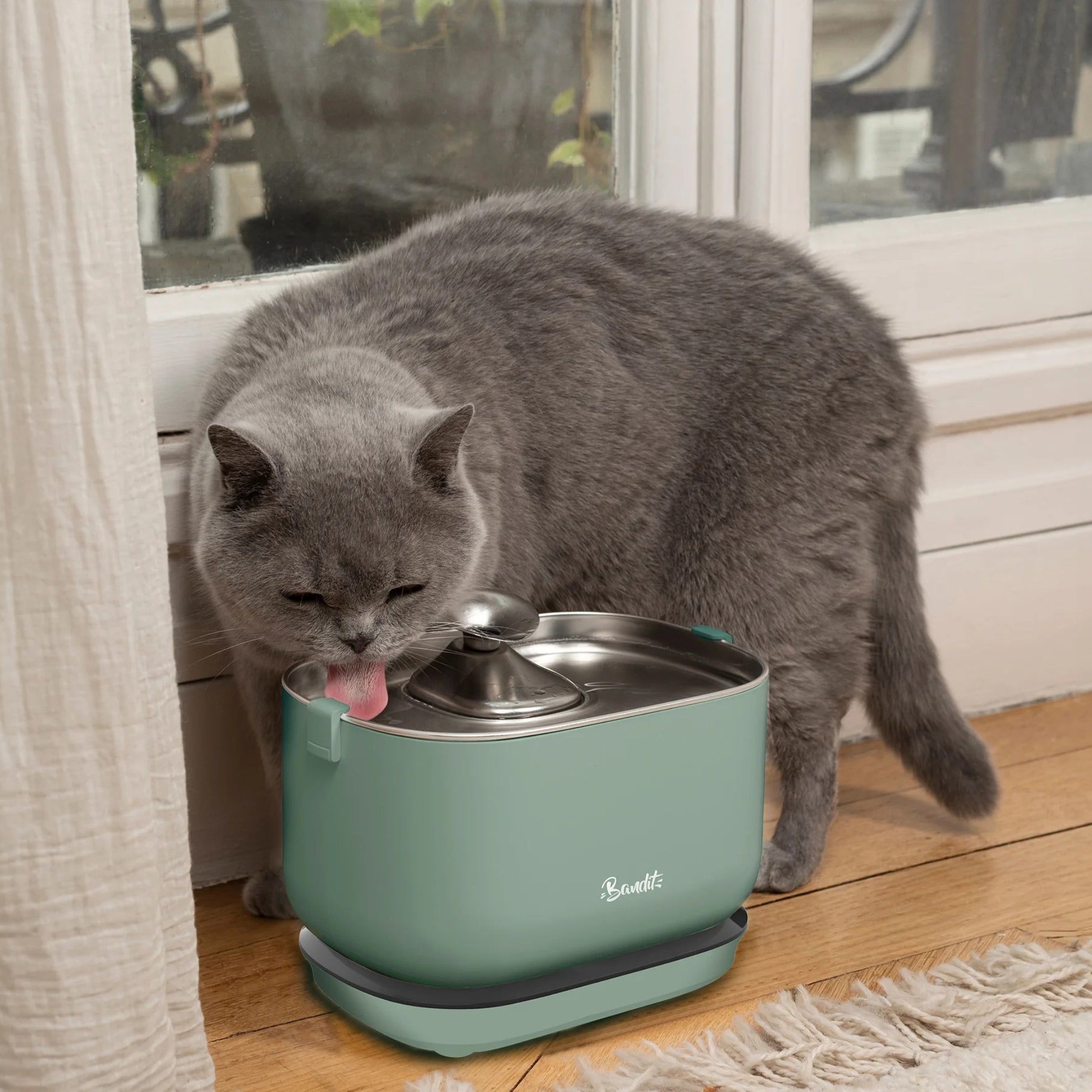 Fontaine à eau sans fil pour chat
