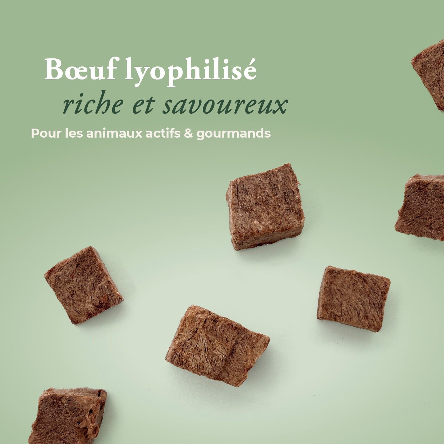 Boeuf lyophilisé