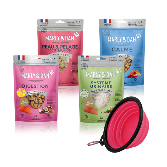 Lot 4 friandises Marly & Dan chat + une gamelle offerte