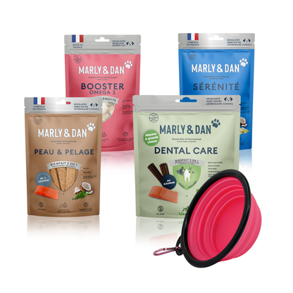 Lot 4 friandises Marly & Dan moyen/grand chien + gamelle offerte